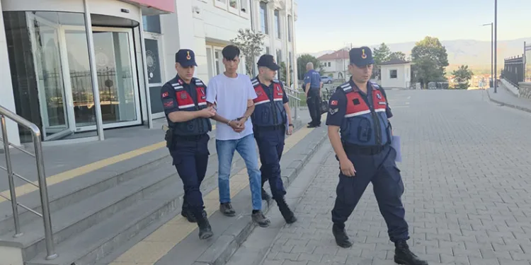 Bursa’da Orman yangınında hayatta kalan kuş böyle kurtarıldı