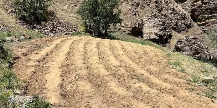 Takla atan otomobil sürücüsü hayatını kaybetti