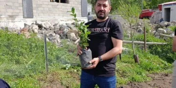 Anne leylek yavrularının başından bir an olsun ayrılmadı