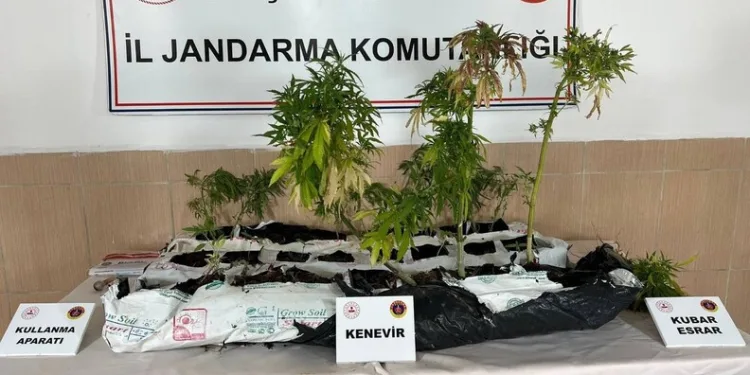 Kırıkkale’de uyuşturucu operasyonu: 1 kişi tutuklandı