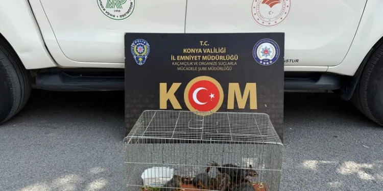 Tekirdağ’da devrilen tırdan refüje savrulan sürücü yaralandı