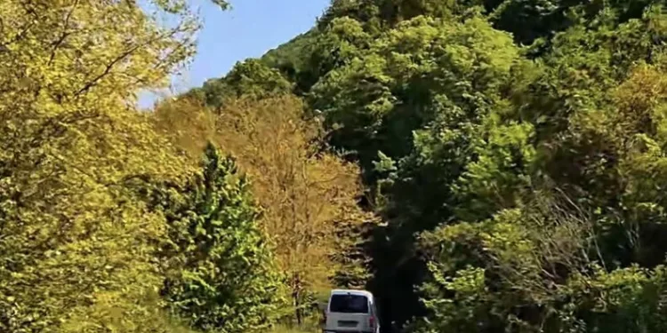 Tekirdağ’da devrilen tırdan refüje savrulan sürücü yaralandı