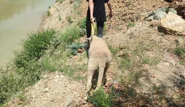 43 ilin geçiş güzergahında bayram hareketliliği: Uygulama noktalarında şeker ve kolonya ikram edildi