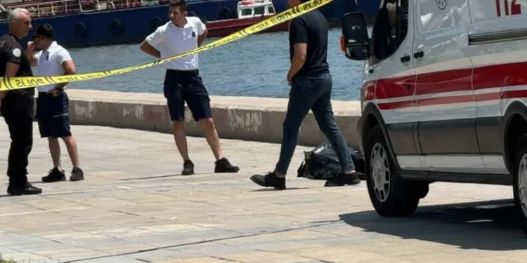 Otomobil dereye düştü: 1 yaralı