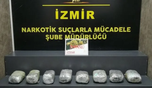 Bayram tatillerinde günlük geçiş 20 binlerden 60 binlere dayandı