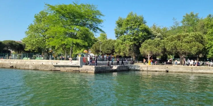 Sabah saatlerinde alkollü kadın sürücünün kullandığı araç tatlıcı dükkânına daldı, faciadan dönüldü