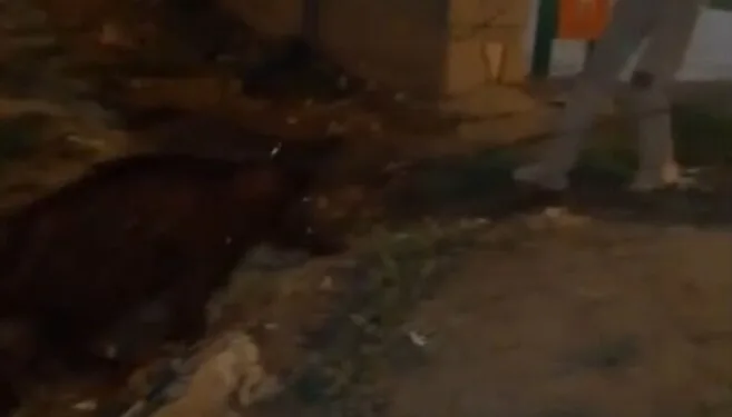 Kurtalan’da yangın paniği