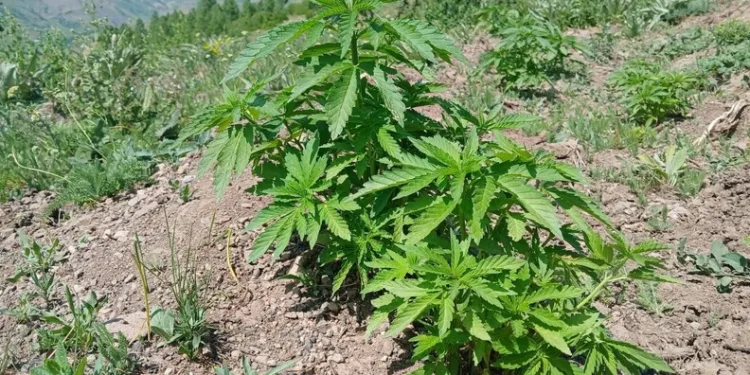 Siirt’te 6 yaşındaki çocuk 5’inci kattan arabanın üstüne böyle düştü