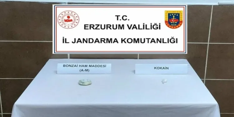 Adana’da 14 milyonluk kaçak güneş gözlüğü ve telefon ele geçirildi