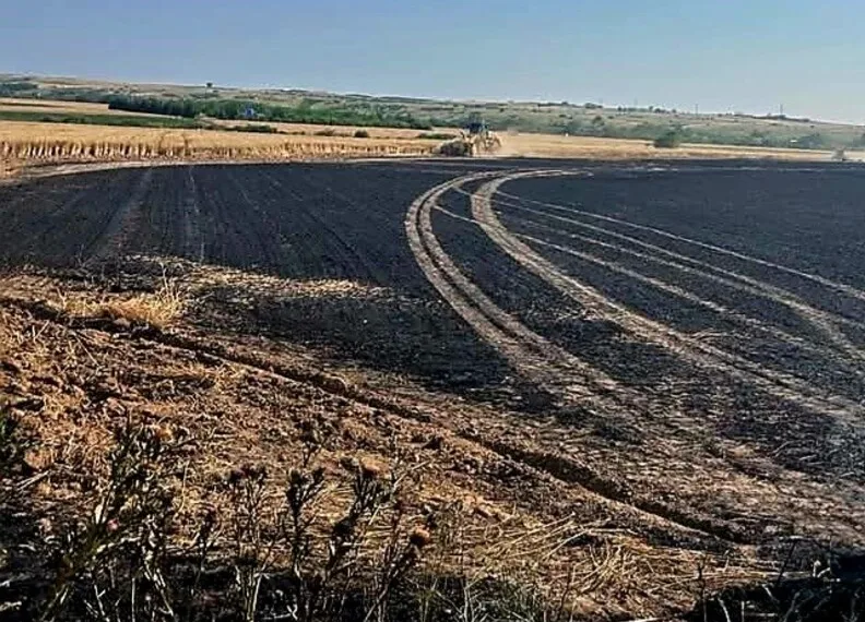 Adana’da 14 milyonluk kaçak güneş gözlüğü ve telefon ele geçirildi