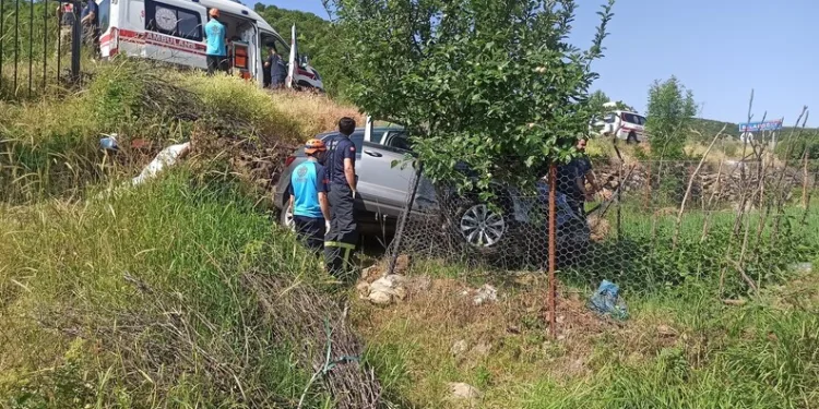 Erzurum’da 867 kök kenevir bitkisi ele geçirildi