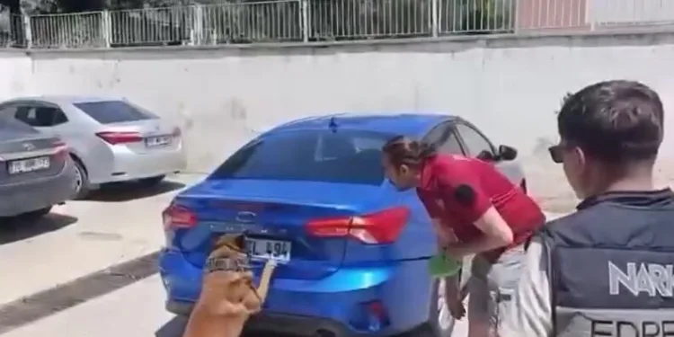 Erzurum’da 867 kök kenevir bitkisi ele geçirildi