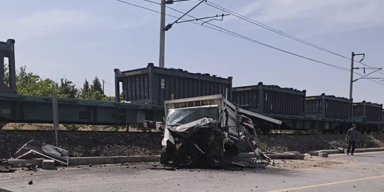 Erzurum’da 867 kök kenevir bitkisi ele geçirildi