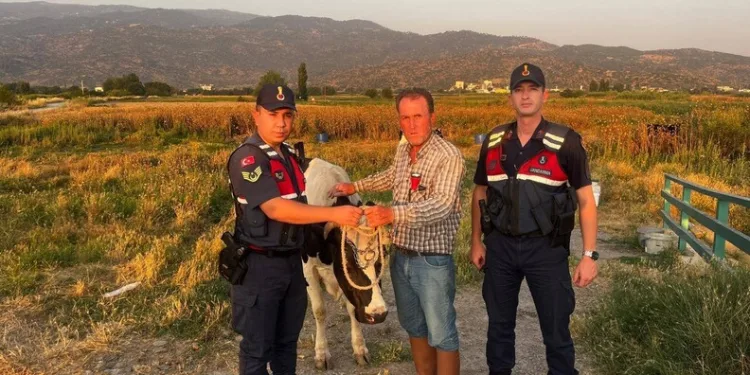 Merkezefendi Belediyesi kendi taktığı tenteyi kendisi söktü