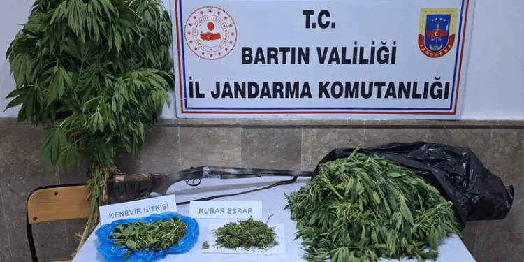 Jandarmadan uyuşturucu operasyonu: 2 gözaltı