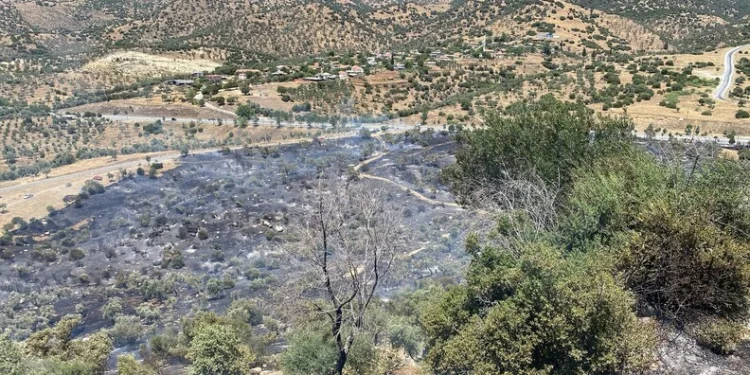 Mardin’de kontrolden çıkan otomobil şarampole yuvarlandı: 1 ölü, 1 yaralı