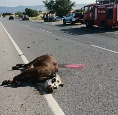 “Siyah poşet sorması bana hiç denk gelmedi”