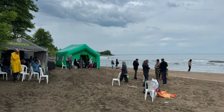 Elazığ’da kadın, bir iş yerine taşla saldırdı