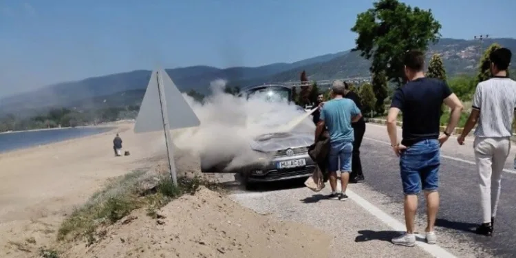 Elazığ’da kadın, bir iş yerine taşla saldırdı