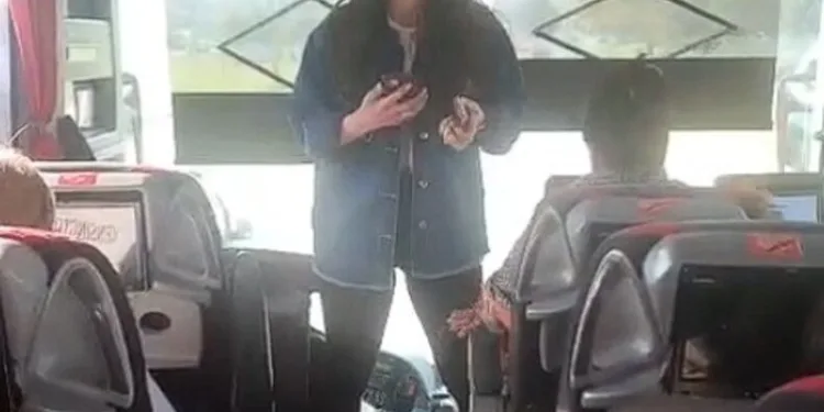 Elazığ’da kadın, bir iş yerine taşla saldırdı