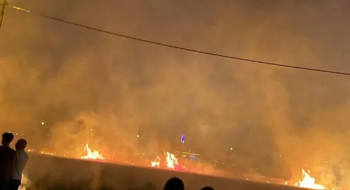 Elazığ’da kadın, bir iş yerine taşla saldırdı