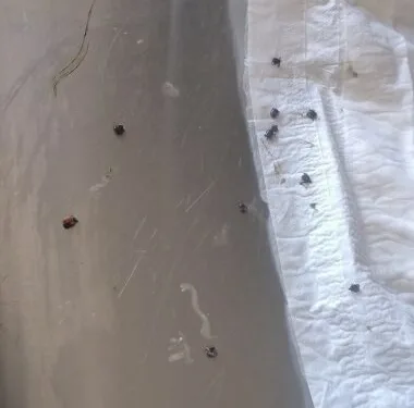 Samsun’da tır ile otomobil çarpıştı, 5 yaşındaki çocuk yaralandı