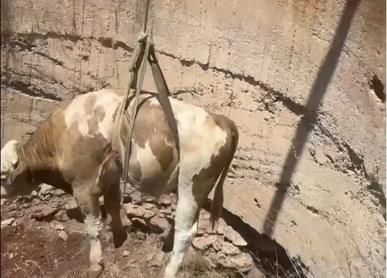 Samsun’da tır ile otomobil çarpıştı, 5 yaşındaki çocuk yaralandı