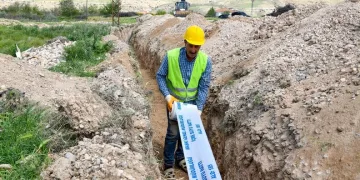 Sinop’ta ayı görüntülendi