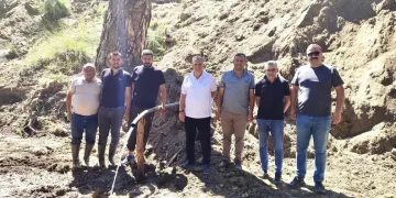 Sinop’ta ayı görüntülendi