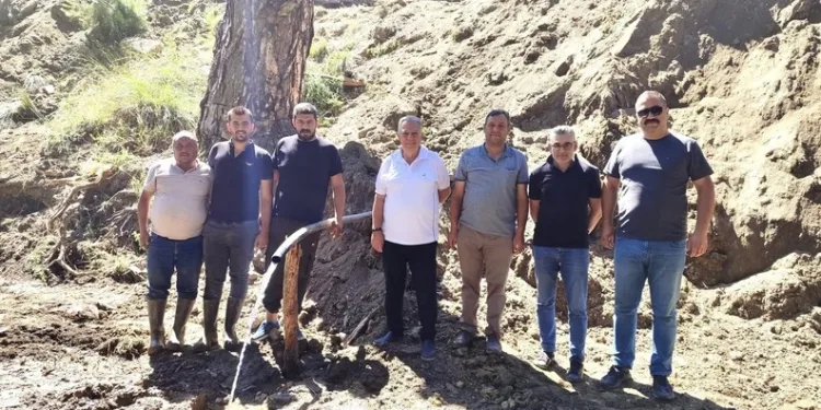 Sinop’ta ayı görüntülendi