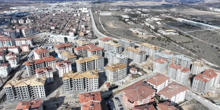 Sinop’ta ayı görüntülendi