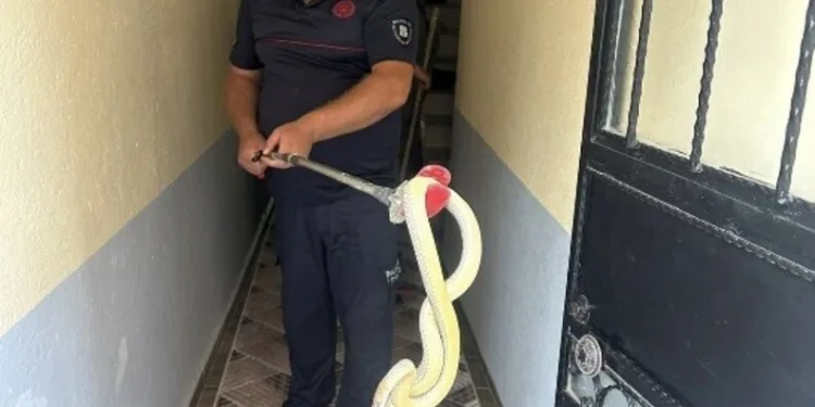 Manisa’da çöp kamyonunun çarptığı motosiklet sürücüsü kurtarılamadı