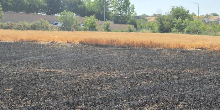 Kastamonu’da kaçak kazı yaparken yakalanan 3 kişi yakalandı