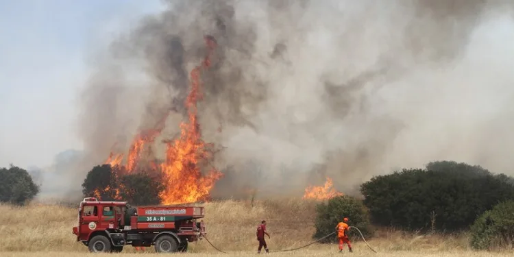 Kastamonu’da kaçak kazı yaparken yakalanan 3 kişi yakalandı