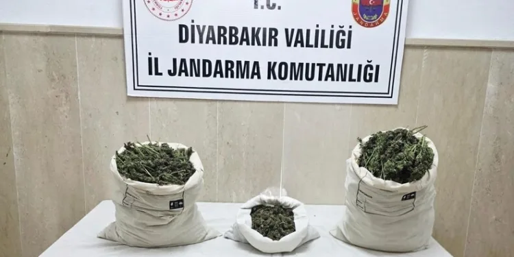Kastamonu’da kaçak kazı yaparken yakalanan 3 kişi yakalandı