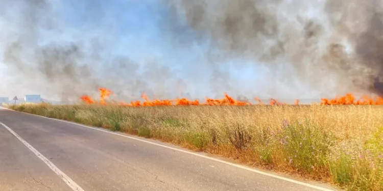 Kastamonu’da kaçak kazı yaparken yakalanan 3 kişi yakalandı