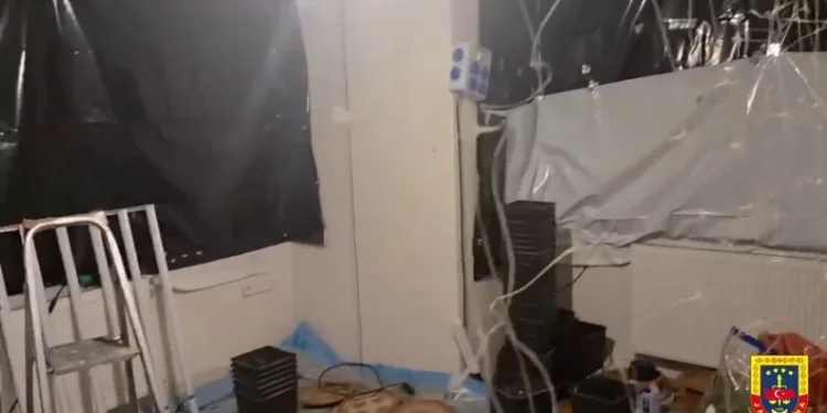 Yoldan çıkarak takla atan otomobilin sürücüsü hayatını kaybetti