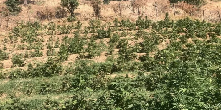 Erzurum Valiliği’nden YKS önlemleri