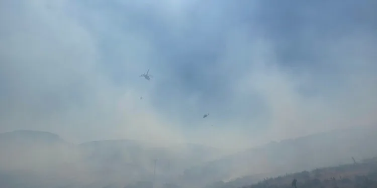 Ekmeğin içinden uyuşturucu çıktı: 2 gözaltı