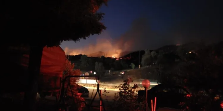Düğünde atılan havai fişek buğday tarlasını küle çevirdi
