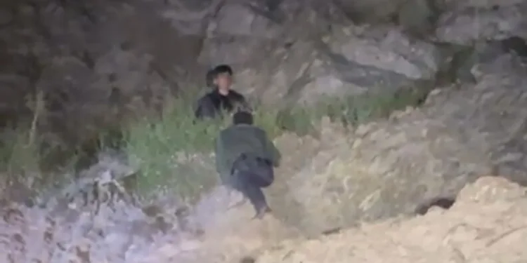 Düğünde atılan havai fişek buğday tarlasını küle çevirdi