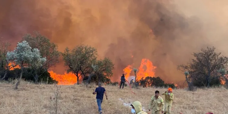 Rusya, gece boyunca Ukrayna’yı vurdu: 5 ölü