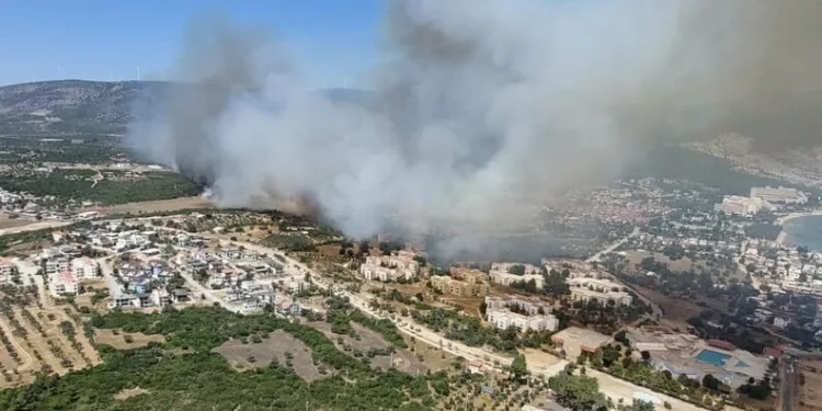 Tokat’ta ağabeyini bıçaklayarak öldüren kişi tutuklandı