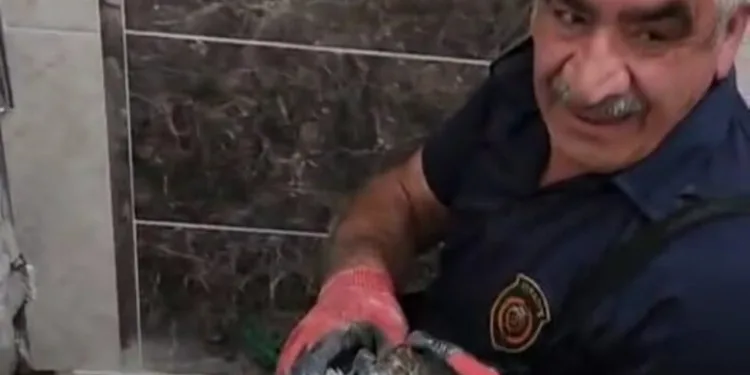 Tokat’ta ağabeyini bıçaklayarak öldüren kişi tutuklandı