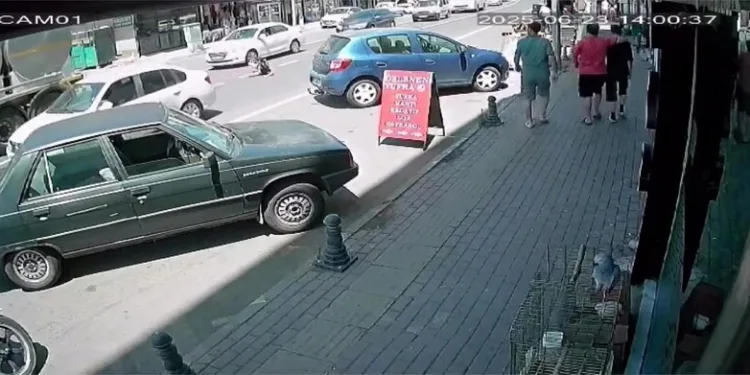 Tokat’ta ağabeyini bıçaklayarak öldüren kişi tutuklandı
