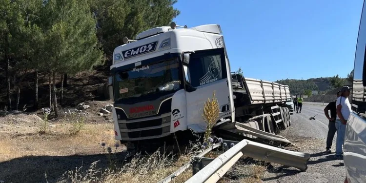 İzmarit önce otları, sonra ahırı yaktı