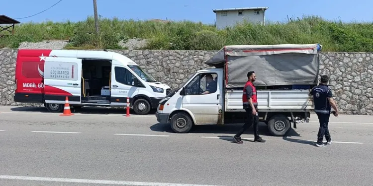 İzmarit önce otları, sonra ahırı yaktı