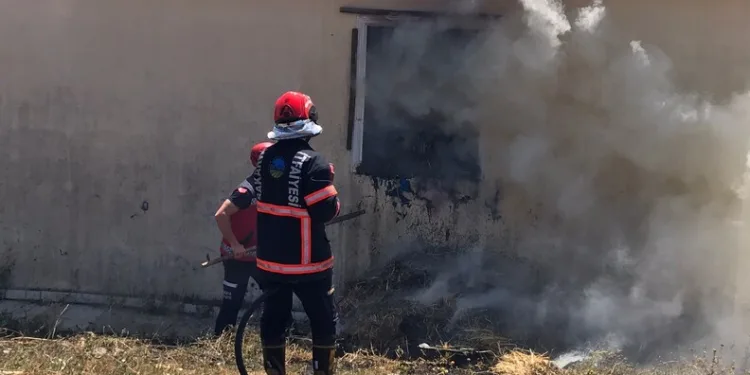 İzmarit önce otları, sonra ahırı yaktı