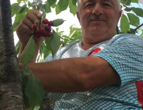 İzmarit önce otları, sonra ahırı yaktı
