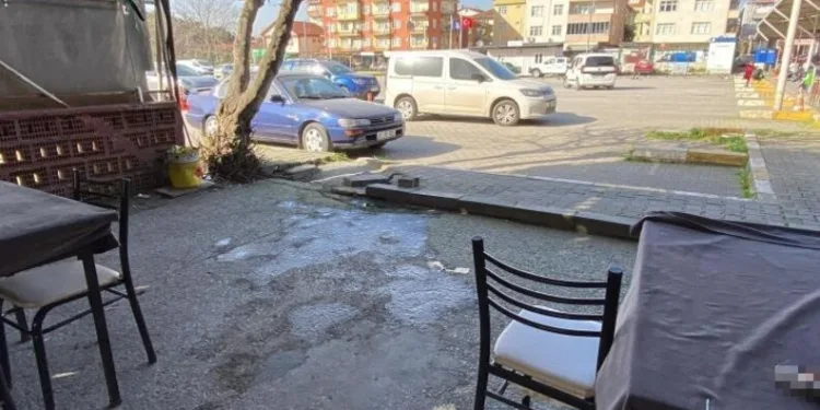 İzmarit önce otları, sonra ahırı yaktı